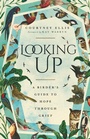 Cover: Looking Up - IVP