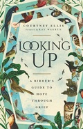Cover: Looking Up - IVP