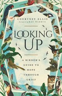 Enlarge image Cover: Looking Up - IVP