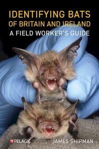 Abbildung von: Identifying Bats of Britain and Ireland - Pelagic Publishing