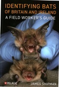 Cover: Identifying Bats of Britain and Ireland - Pelagic Publishing