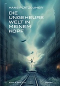 Cover: Die ungeheure Welt in meinem Kopf - Elster & Salis Verlag GmbH