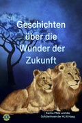 Cover: Geschichten &uuml;ber die Wunder der Zukunft - Feiyr