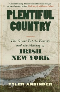 Enlarge image Cover: Plentiful Country - Eriu