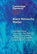 Cover: Black Networks Matter - Cambridge University Press