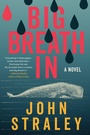 Cover: Big Breath In - Soho Press
