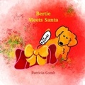 Cover: Bertie Meets Santa - Patricia Comb Publishing