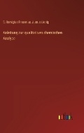 Cover: Anleitung zur qualitativen chemischen Analyse - Outlook Verlag