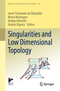 Abbildung von: Singularities and Low Dimensional Topology - Springer