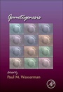 Cover: Gametogenesis: Volume 102 - Academic Press