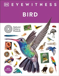 Abbildung von: Bird - DK Children