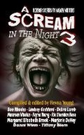 Cover: A Scream in the Night 3 - BLACK BED SHEETS BOOKS