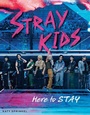 Bild: Stray Kids - Triumph Books