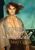 Cover: Feuerprobe Des Schicksals - Dreamspinner Press LLC
