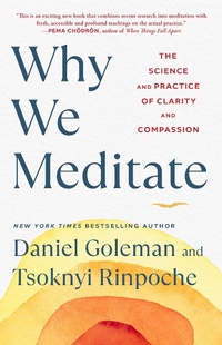 Enlarge image Cover: Why We Meditate - Simon & Schuster