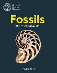 Enlarge image Cover: Fossils - The Natural History Museum