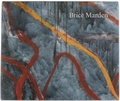 Cover: Brice Marden: Let the Painting Make You - Rizzoli International Publications