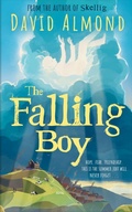 Cover: The Falling Boy - Hodder Children's Books