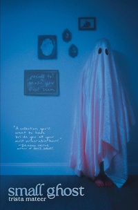 Enlarge image Cover: Small Ghost - Central Avenue Publishing