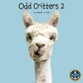 Cover: Odd Critters 2 - All Aboard Learning Ltd