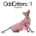 Cover: Odd Critters - All Aboard Learning Ltd