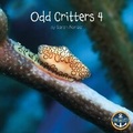 Cover: Odd Critters 4 - All Aboard Learning Ltd