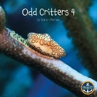 Enlarge image Cover: Odd Critters 4 - All Aboard Learning Ltd
