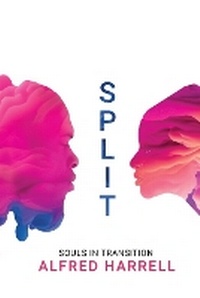 Enlarge image Cover: Split - Listen Black