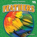 Cover: Feathers - Bearcub Books