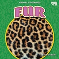 Cover: Fur - Bearcub Books