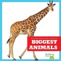 Cover: Biggest Animals - Bullfrog Books