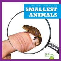 Enlarge image Cover: Smallest Animals - Bullfrog Books