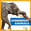 Cover: Strongest Animals - Bullfrog Books