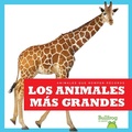 Cover: Los Animales Mas Grandes (Biggest Animals) - Bullfrog Books