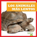 Cover: Los Animales Mas Lentos (Slowest Animals) - Bullfrog Books