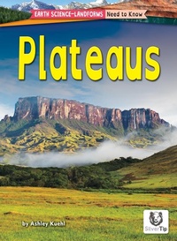 Enlarge image Cover: Plateaus - Silvertip Books