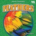 Cover: Feathers - Bearcub Books