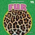 Cover: Fur - Bearcub Books