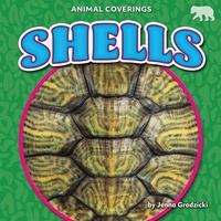Enlarge image Cover: Shells - Bearcub Books