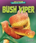 Cover: Bush Viper - Bearport Publishing by Flutterbee