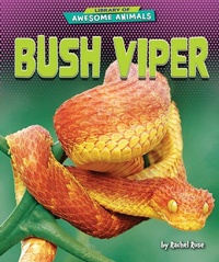 Enlarge image Cover: Bush Viper - Bearport Publishing by Flutterbee