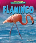 Cover: Flamingo - Bearport Publishing by Flutterbee