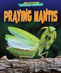Cover: Praying Mantis - Bearport Publishing by Flutterbee