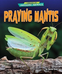 Enlarge image Cover: Praying Mantis - Bearport Publishing by Flutterbee