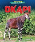 Cover: Okapi - Bearport Publishing by Flutterbee