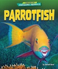 Cover: Parrotfish - Bearport Publishing by Flutterbee