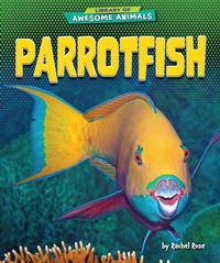 Enlarge image Cover: Parrotfish - Bearport Publishing by Flutterbee