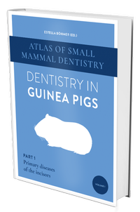 Abbildung von: Dentistry in Guinea Pigs - Schaefermüller Publishing GmbH