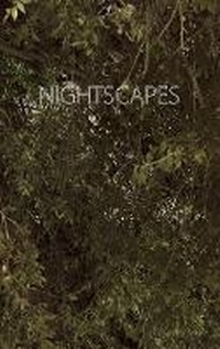 Abbildung von: Nightscapes - Blurb