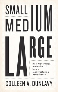 Enlarge image Cover: Small, Medium, Large - Polity Press